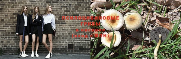 гидра Арсеньев