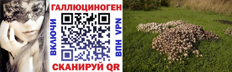Галлюциногенные грибы мухоморы Безенчук